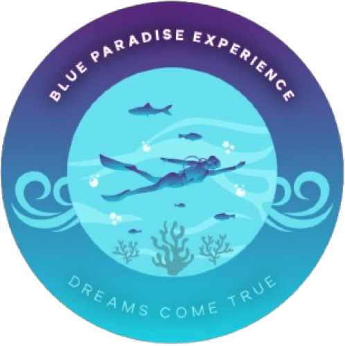 Blue Paradise Experiense